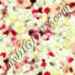 Colour:K