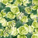Colour:B