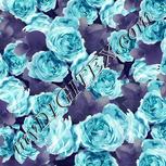 Colour:D