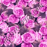 Colour:J