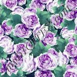 Colour:K