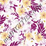 Colour:B