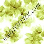 Colour:K