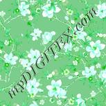 Colour:C