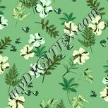 Colour:K
