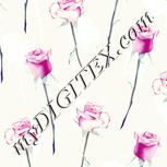 Colour:K