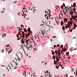 Colour:B