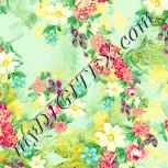 Colour:K