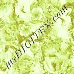 Colour:K