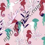 Colour:B