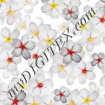 Colour:A