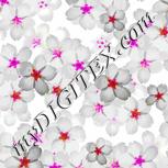 Colour:B