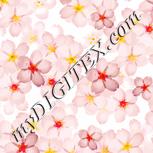 Colour:J