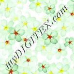 Colour:K