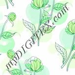 Colour:B