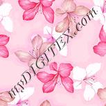 Colour:B