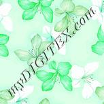 Colour:C