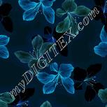 Colour:F