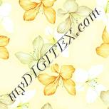 Colour:K