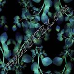 Colour:F