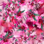 Colour:B