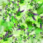 Colour:D