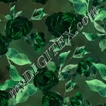 Colour:F