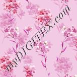 Colour:B