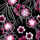 Colour:B