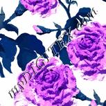 Colour:A