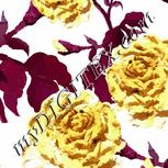 Colour:C