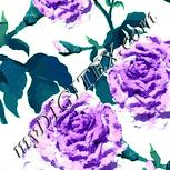 Colour:K