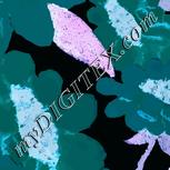 Colour:F
