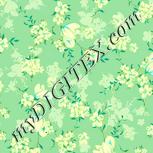 Colour:K