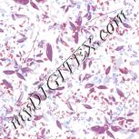 Colour:A