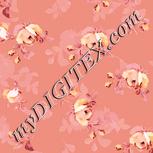 Colour:J