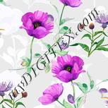 Colour:A