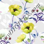 Colour:B