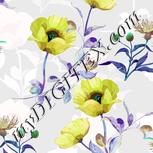Colour:C