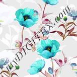 Colour:D