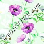 Colour:K