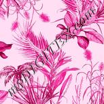 Colour:B