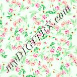 Colour:K