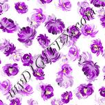 Colour:D