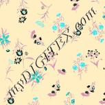 Colour:F