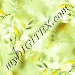 Colour:K