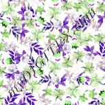 Colour:D