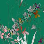 Colour:B