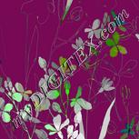 Colour:C
