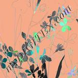 Colour:F